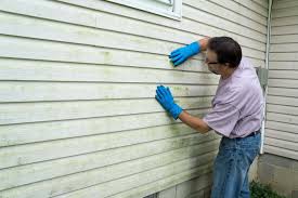 Best Fiber Cement Siding Installation  in Cedar Falls, IA